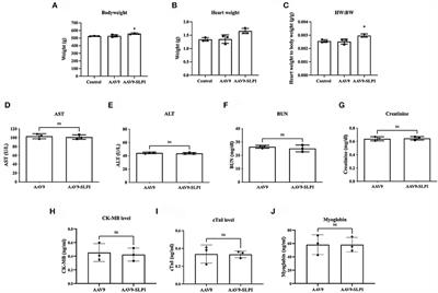 Adeno-associated virus 9 vector-mediated cardiac-selective expression of human secretory leukocyte protease inhibitor attenuates myocardial ischemia/reperfusion injury